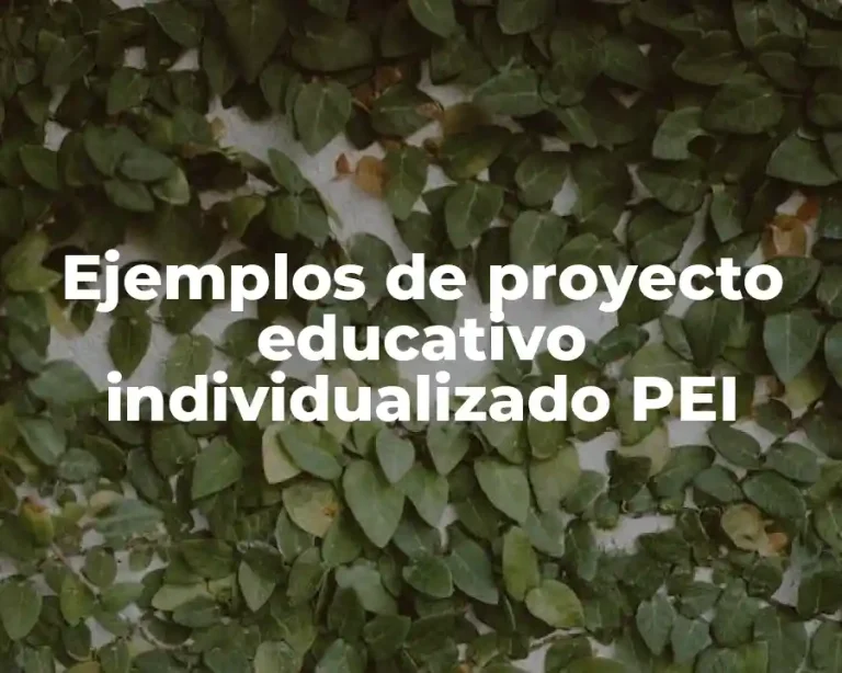 Ejemplos de proyecto educativo individualizado PEI