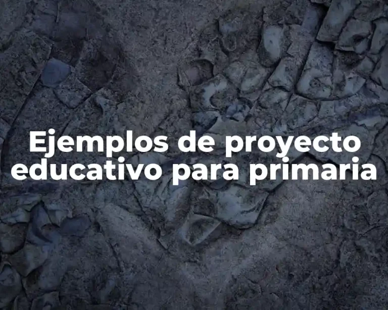 Ejemplos de proyecto educativo para primaria