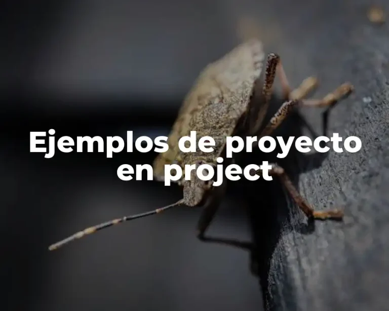Ejemplos de proyecto en project