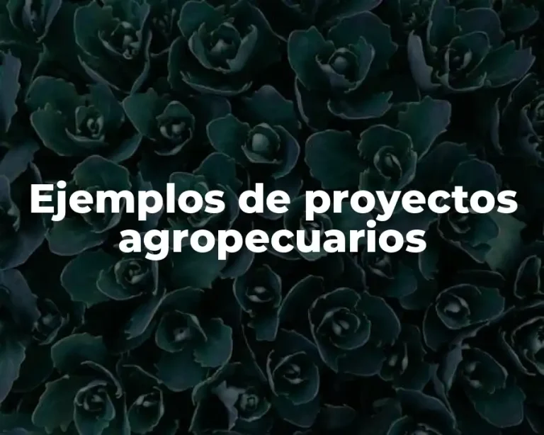 Ejemplos de proyectos agropecuarios