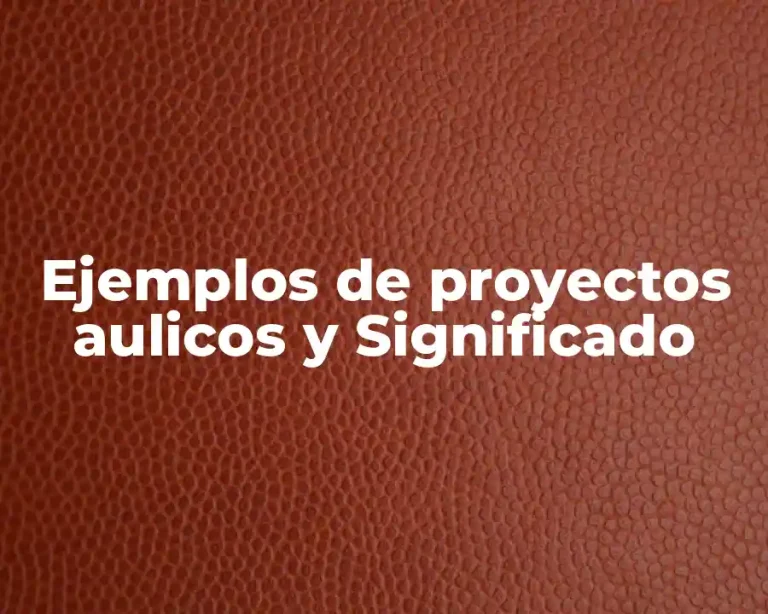 Ejemplos de proyectos aulicos y Significado