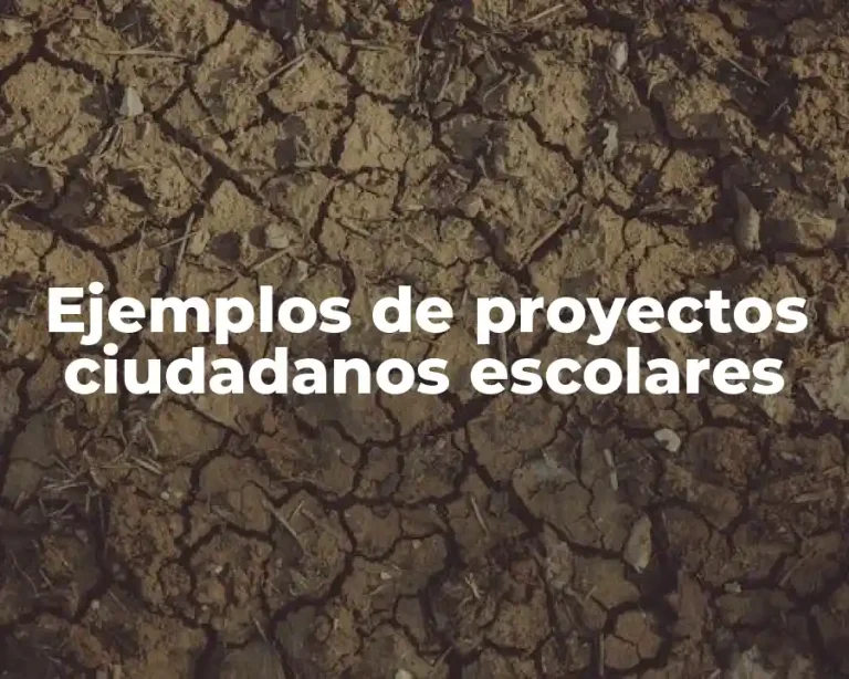 Ejemplos de proyectos ciudadanos escolares