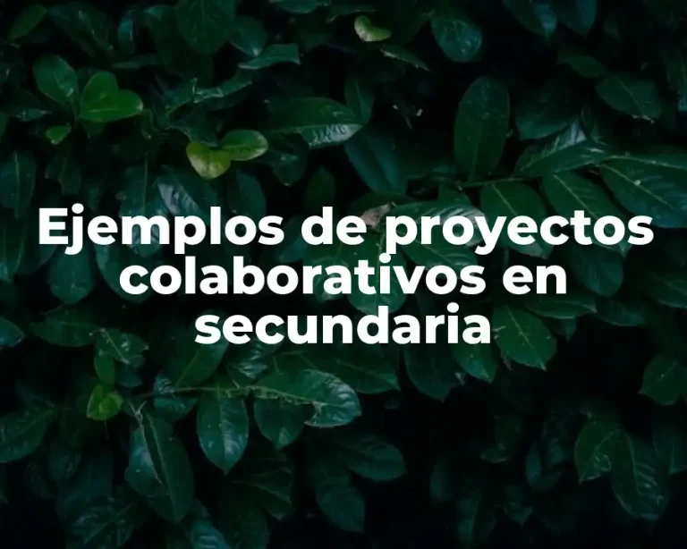 Ejemplos de proyectos colaborativos en secundaria