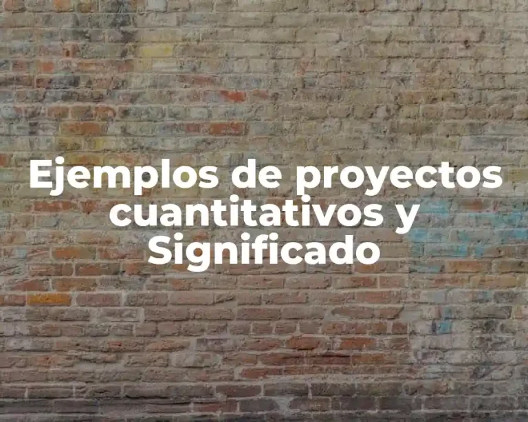 Ejemplos de proyectos cuantitativos y Significado