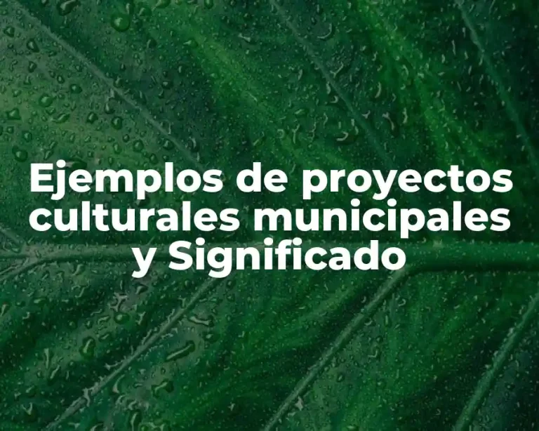 Ejemplos de proyectos culturales municipales y Significado