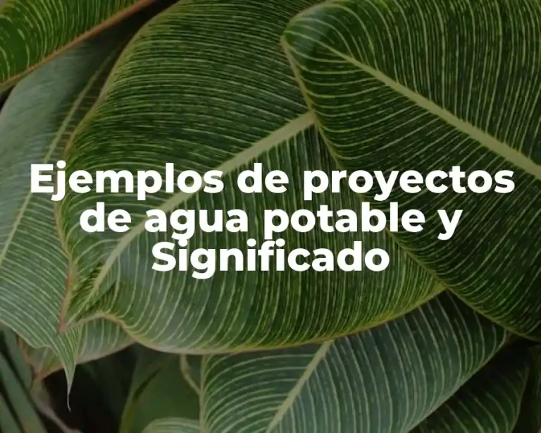 Ejemplos de proyectos de agua potable y Significado