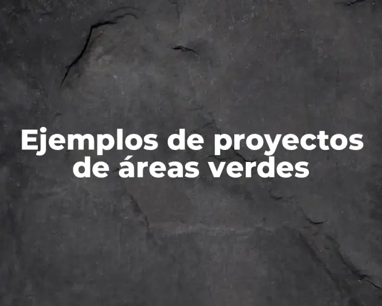 Ejemplos de proyectos de áreas verdes