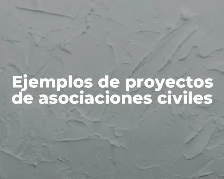Ejemplos de proyectos de asociaciones civiles
