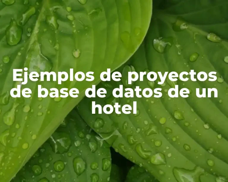 Ejemplos de proyectos de base de datos de un hotel