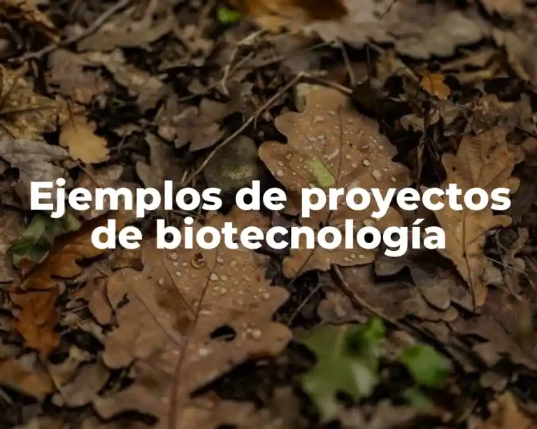 Ejemplos de proyectos de biotecnología