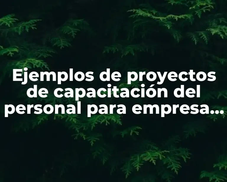 Ejemplos de proyectos de capacitación del personal para empresa comercial