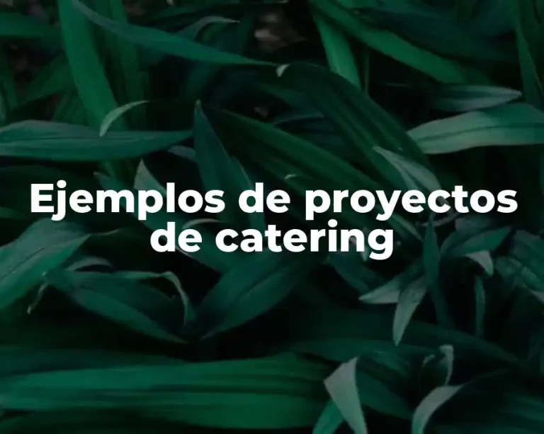 Ejemplos de proyectos de catering