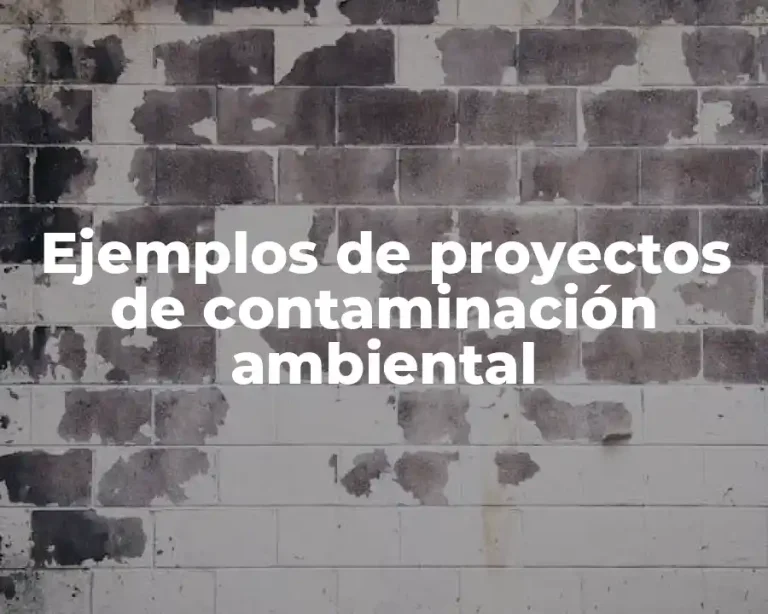 Ejemplos de proyectos de contaminación ambiental