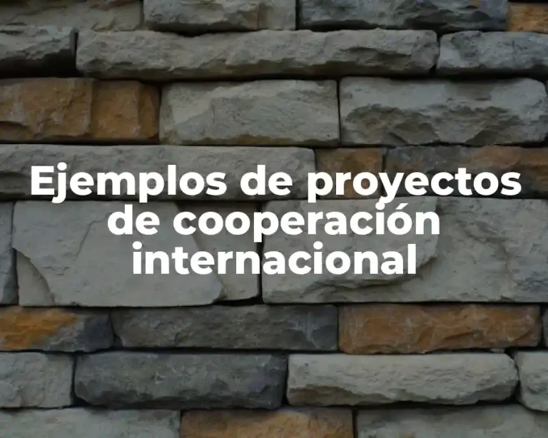 Ejemplos de proyectos de cooperación internacional
