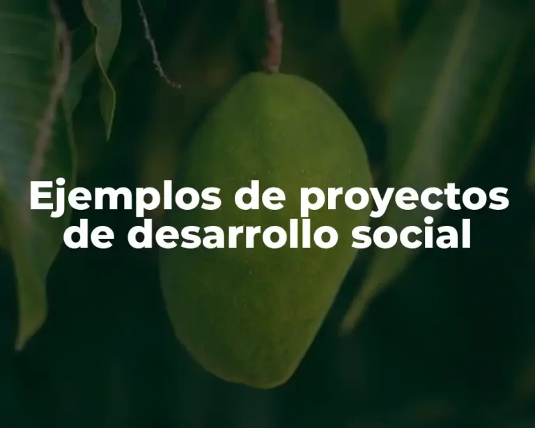 Ejemplos de proyectos de desarrollo social