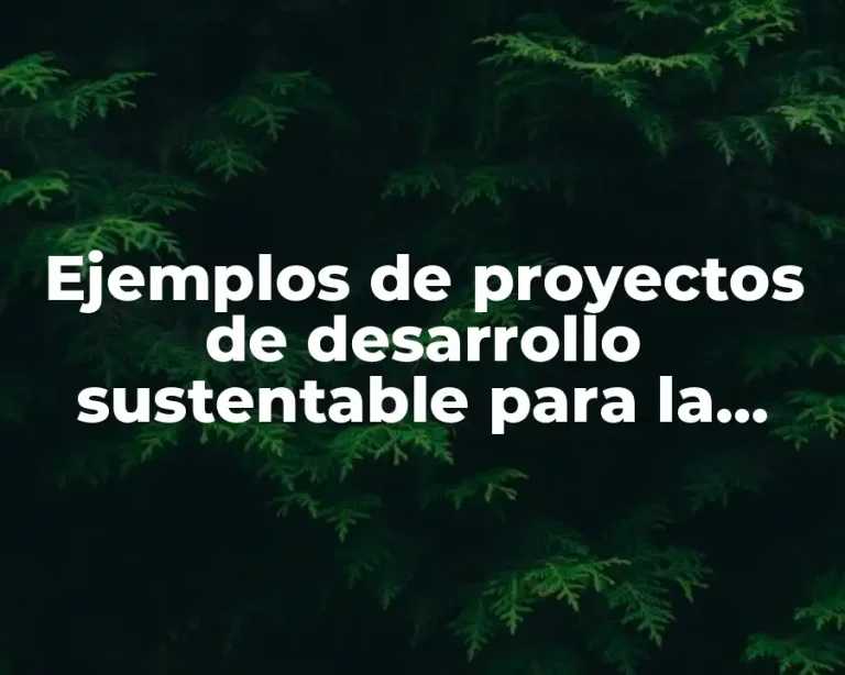 Ejemplos de proyectos de desarrollo sustentable para la comunidad
