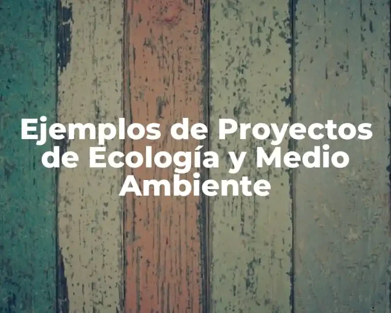 Ejemplos de Proyectos de Ecología y Medio Ambiente