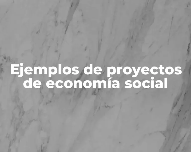 Ejemplos de proyectos de economía social