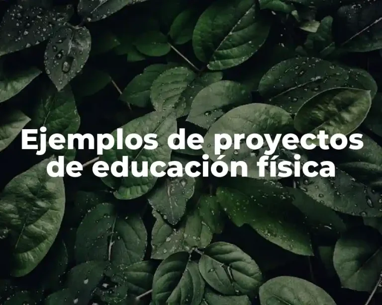 Ejemplos de proyectos de educación física