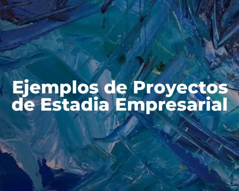 Ejemplos de Proyectos de Estadia Empresarial