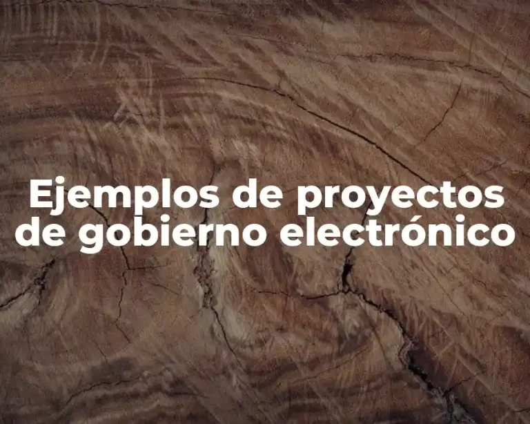 Ejemplos de proyectos de gobierno electrónico