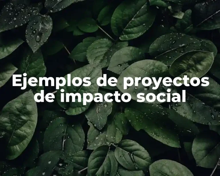 Ejemplos de proyectos de impacto social