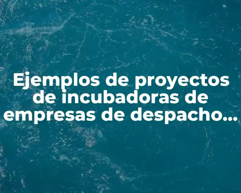 Ejemplos de proyectos de incubadoras de empresas de despacho contables