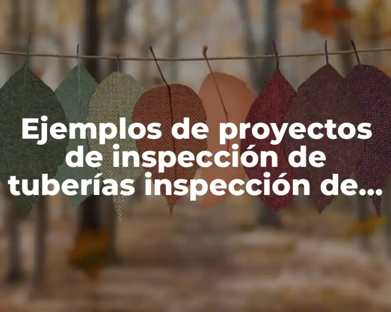 Ejemplos de proyectos de inspección de tuberías inspección de tuberías