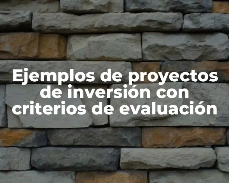 Ejemplos de proyectos de inversión con criterios de evaluación