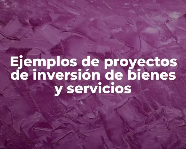Ejemplos de proyectos de inversión de bienes y servicios