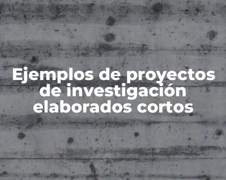 Ejemplos de proyectos de investigación elaborados cortos