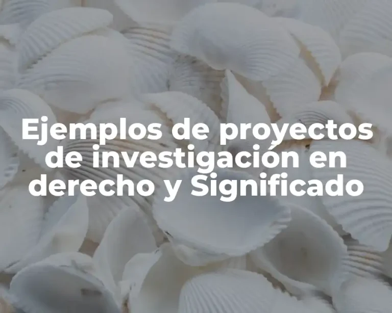 Ejemplos de proyectos de investigación en derecho y Significado