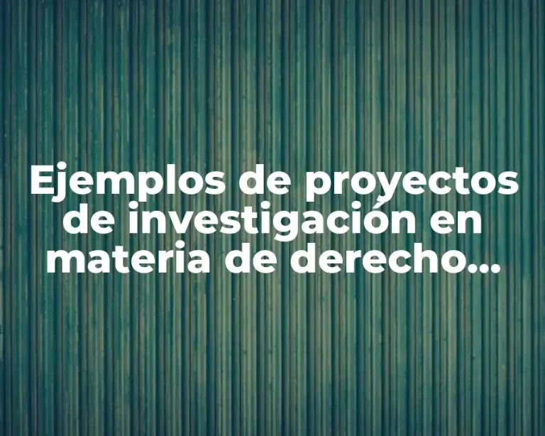 Ejemplos de proyectos de investigación en materia de derecho garantías