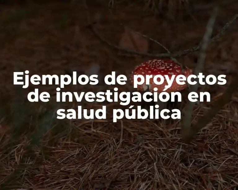 Ejemplos de proyectos de investigación en salud pública