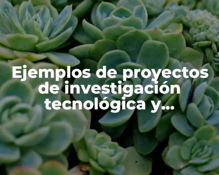 Ejemplos de proyectos de investigación tecnológica y Significado