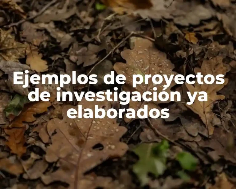 Ejemplos de proyectos de investigación ya elaborados