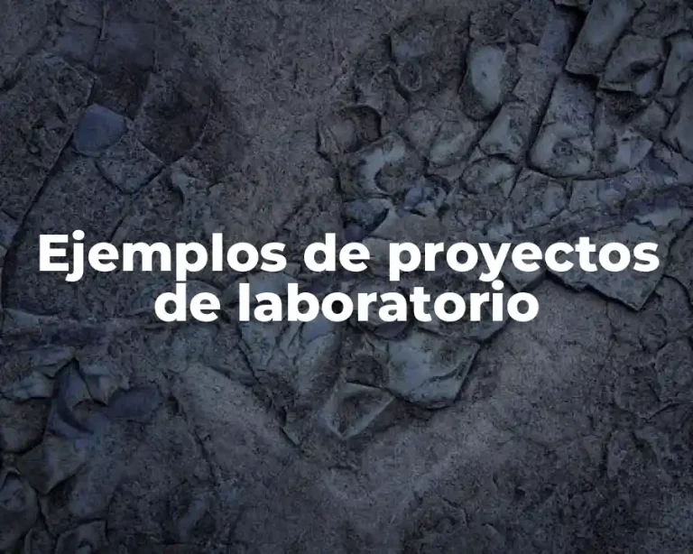 Ejemplos de proyectos de laboratorio