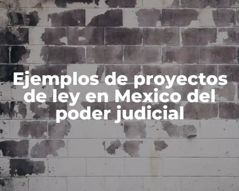 Ejemplos de proyectos de ley en Mexico del poder judicial