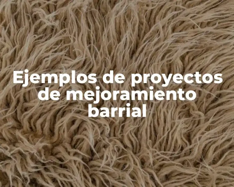 Ejemplos de proyectos de mejoramiento barrial