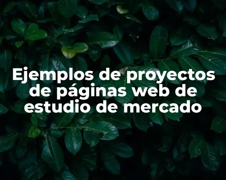 Ejemplos de proyectos de páginas web de estudio de mercado