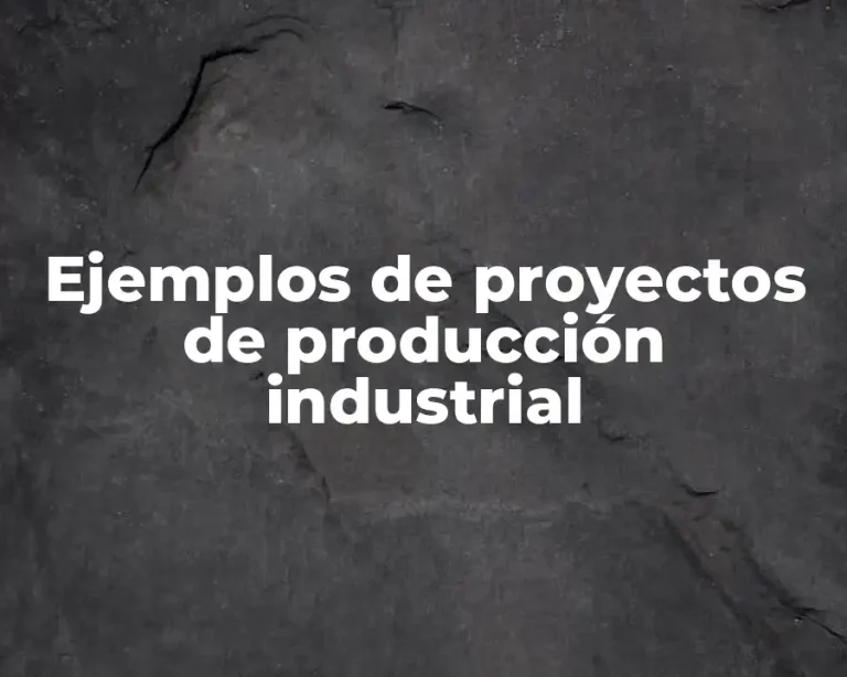 Ejemplos de proyectos de producción industrial