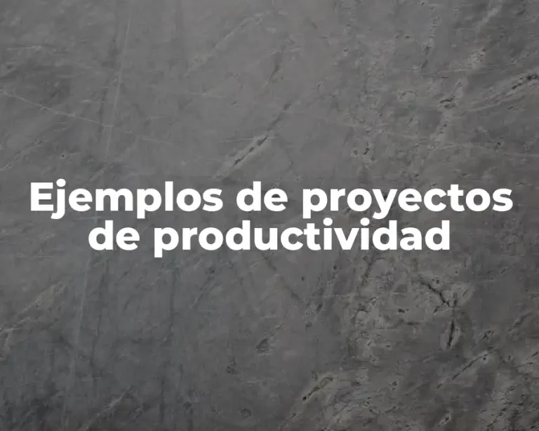 Ejemplos de proyectos de productividad