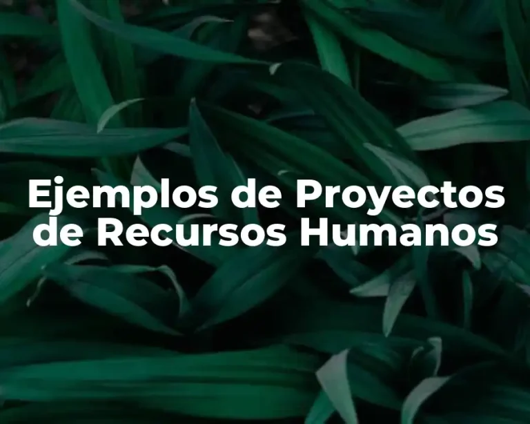 Ejemplos de Proyectos de Recursos Humanos