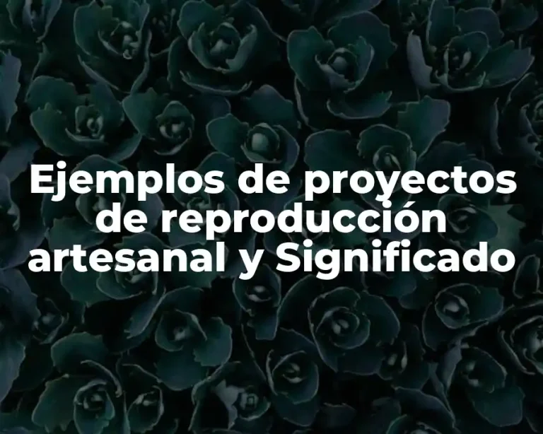 Ejemplos de proyectos de reproducción artesanal y Significado