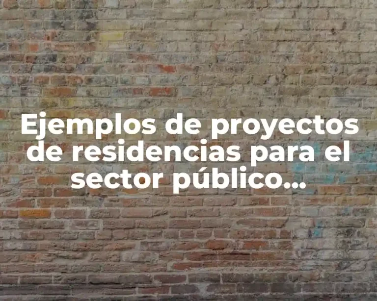 Ejemplos de proyectos de residencias para el sector público educativo