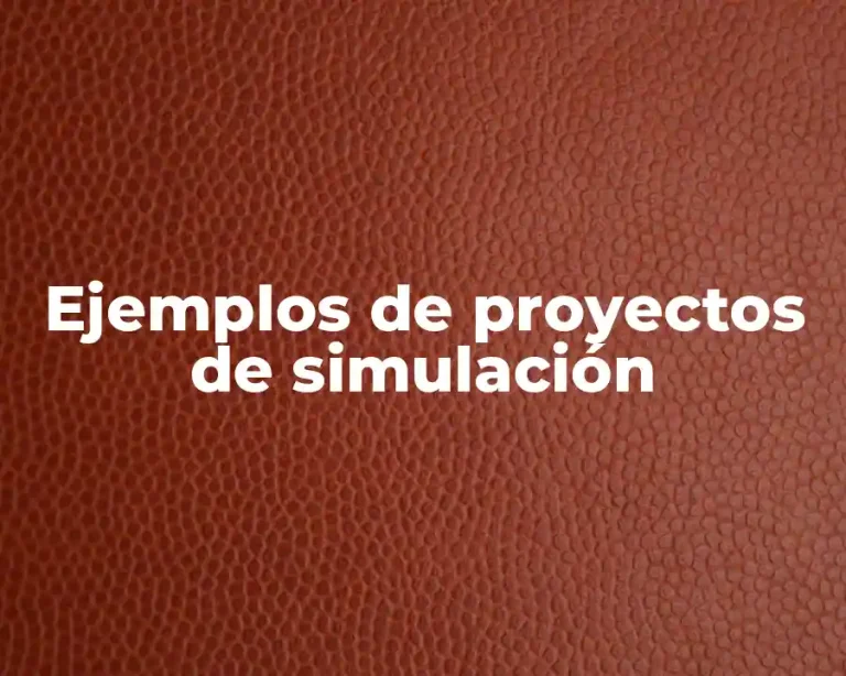 Ejemplos de proyectos de simulación