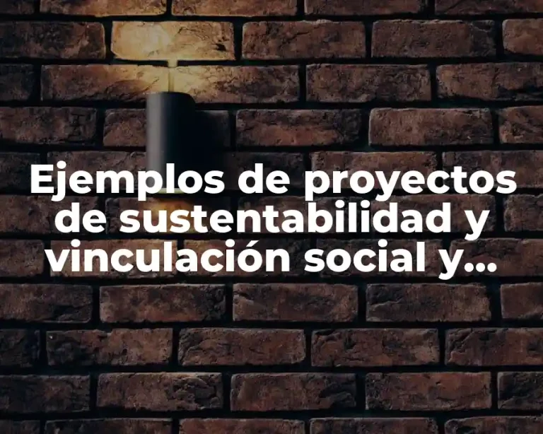 Ejemplos de proyectos de sustentabilidad y vinculación social y educativa