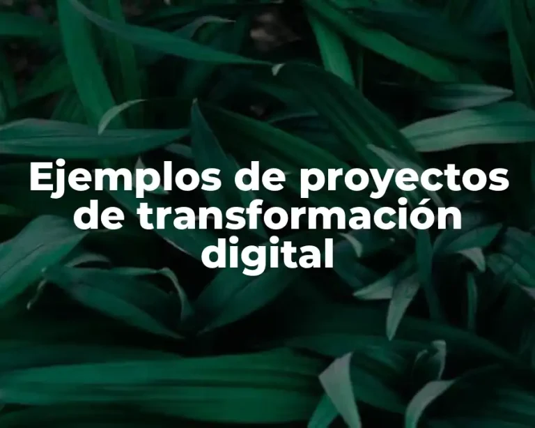 Ejemplos de proyectos de transformación digital
