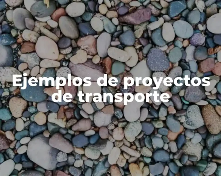 Ejemplos de proyectos de transporte