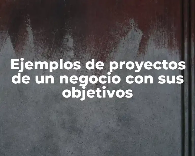 Ejemplos de proyectos de un negocio con sus objetivos